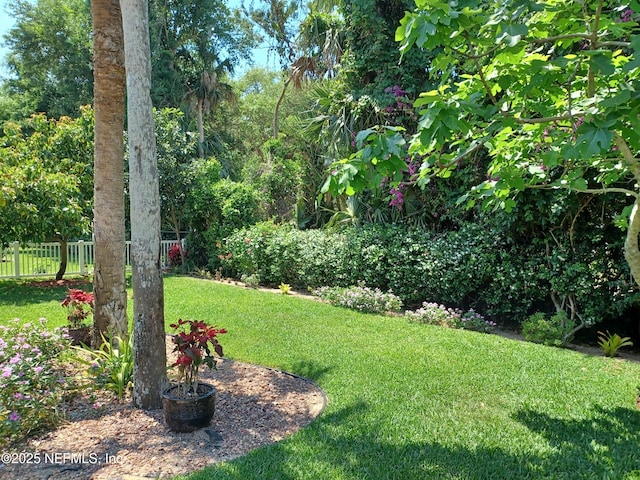 view of yard featuring fence