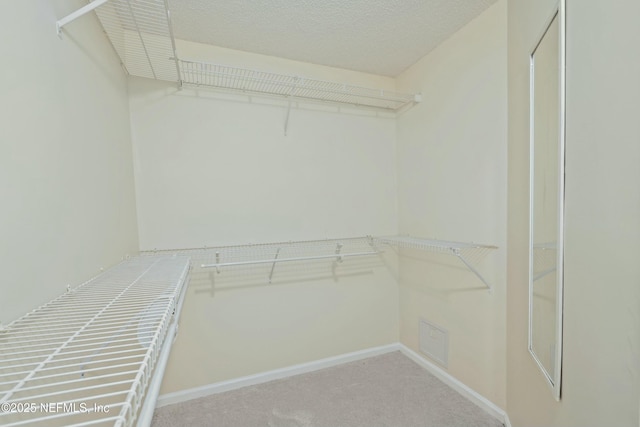 spacious closet with carpet floors