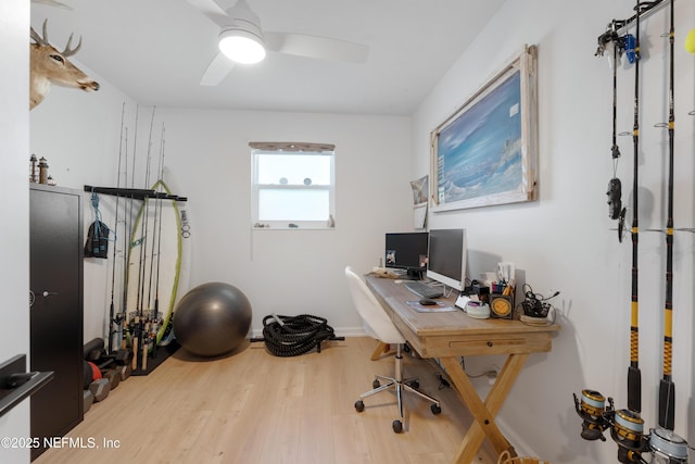 office featuring ceiling fan and wood finished floors