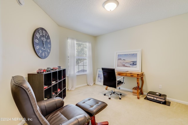 carpeted office space featuring a textured ceiling and baseboards