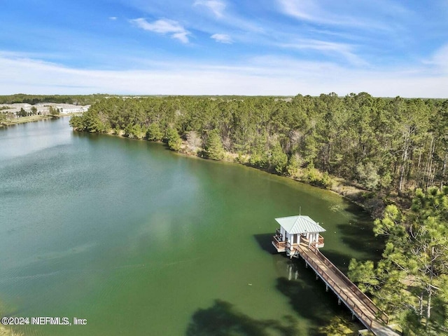 drone / aerial view with a water view and a forest view