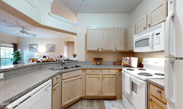 kitchen with white appliances, light brown cabinets, a sink, and ceiling fan