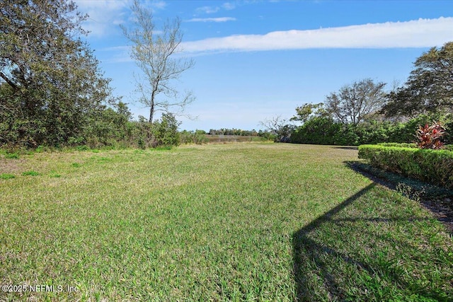 view of yard