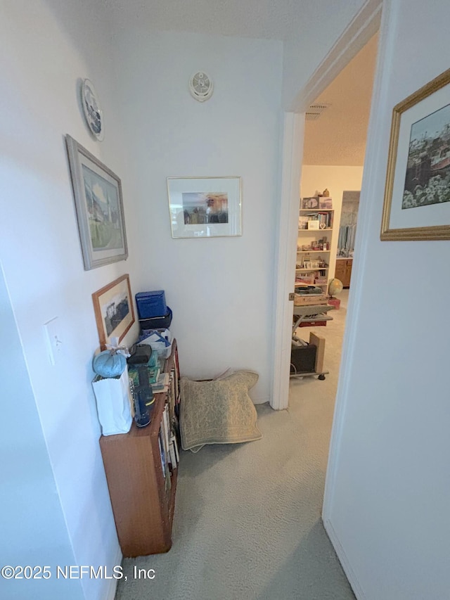 hallway with carpet floors