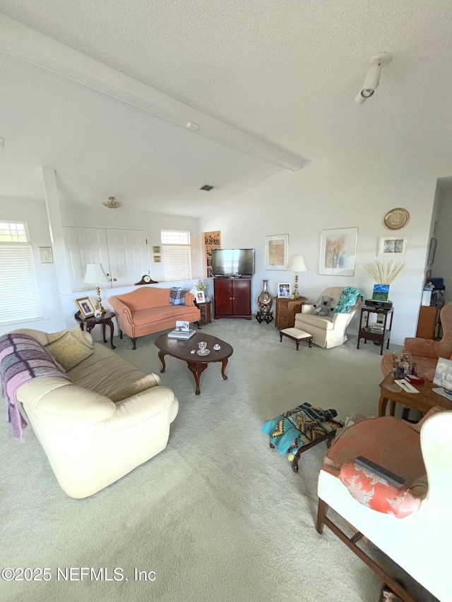 carpeted living area with a wealth of natural light, a textured ceiling, and lofted ceiling with beams