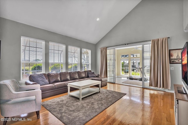 living room featuring plenty of natural light and wood finished floors