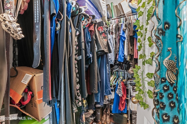 view of walk in closet