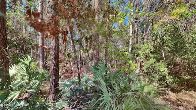 view of nature featuring a wooded view