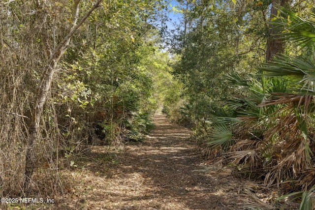 view of nature