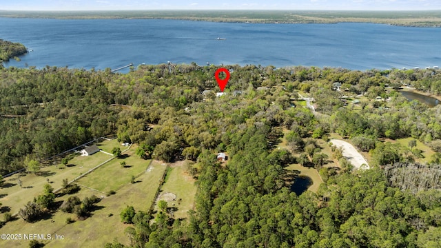 aerial view with a water view and a view of trees