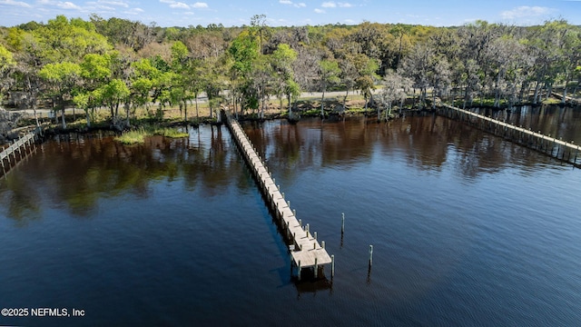 exterior space featuring a dock