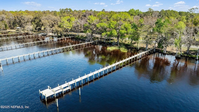 bird's eye view with a water view and a view of trees