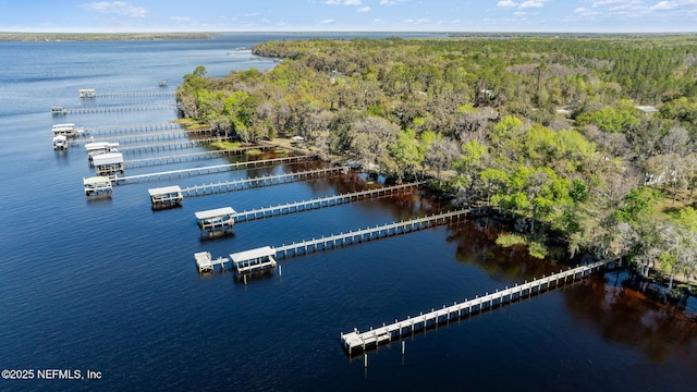 bird's eye view featuring a water view and a wooded view