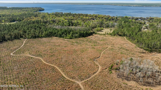 bird's eye view featuring a water view and a forest view