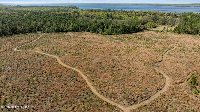 birds eye view of property with a water view and a wooded view