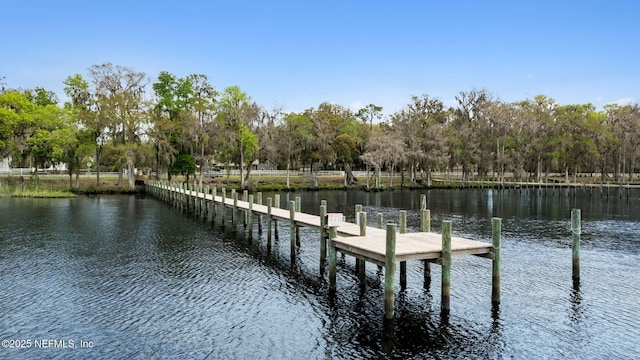 view of dock with a water view