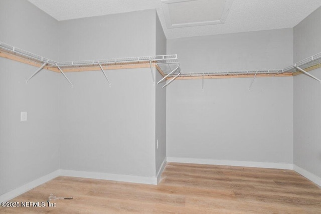 3135 Soutel Dr, Jacksonville, FL 32208 - walk in closet featuring light wood-type flooring and attic access