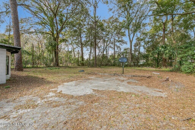 3135 Soutel Dr, Jacksonville, FL 32208 - view of yard