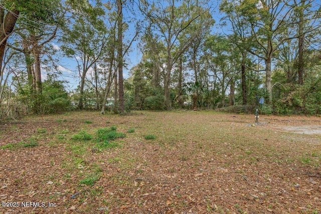 3135 Soutel Dr, Jacksonville, FL 32208 - view of yard