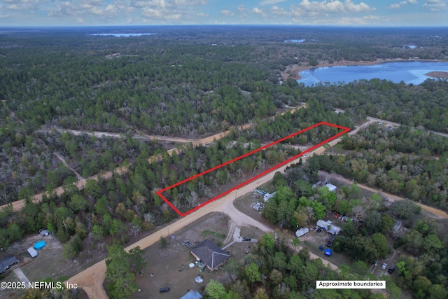 0 Adrian Ave, Interlachen FL, 32148 land for sale