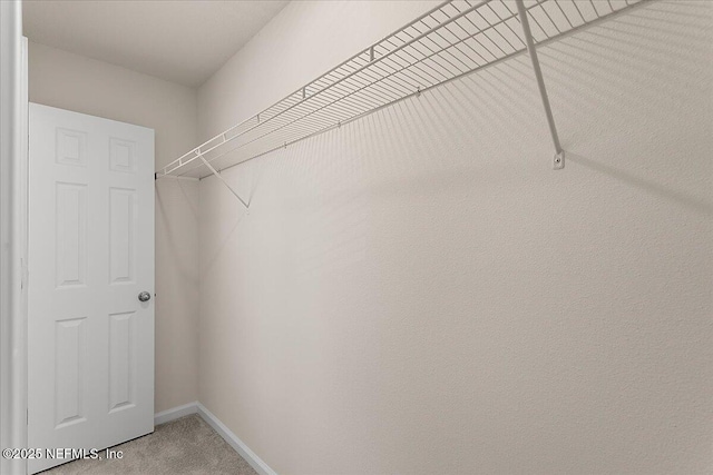 spacious closet featuring light colored carpet