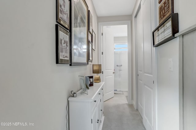 11334 Newtonian Blvd, Jacksonville, FL 32256 - hall featuring light carpet