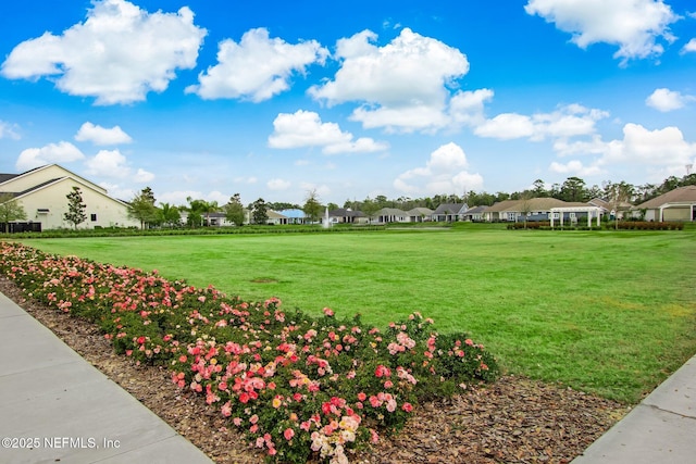 11334 Newtonian Blvd, Jacksonville, FL 32256 - view of property's community featuring a residential view and a lawn