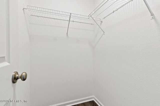 spacious closet featuring dark wood-type flooring