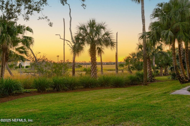 view of yard at dusk