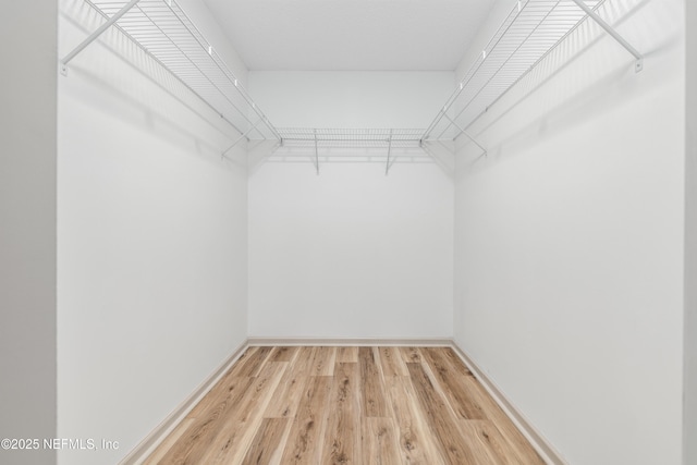 spacious closet with light wood finished floors