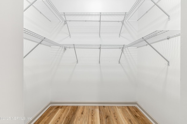 spacious closet with wood finished floors