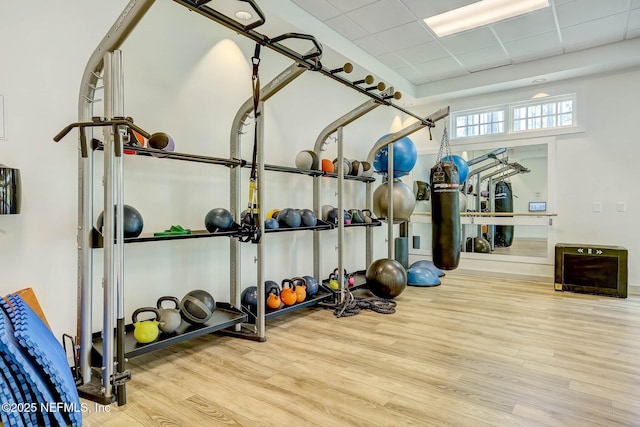 exercise area featuring a paneled ceiling and wood finished floors