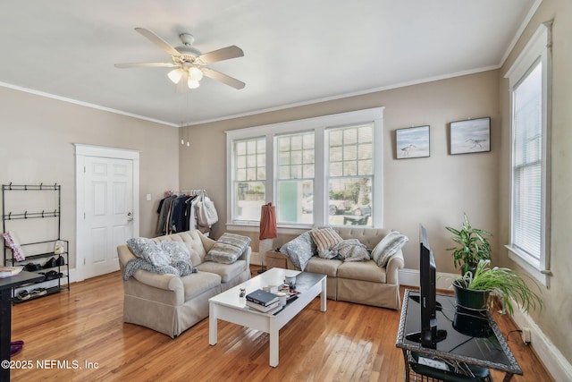 living area featuring baseboards, ceiling fan, light wood finished floors, and crown molding