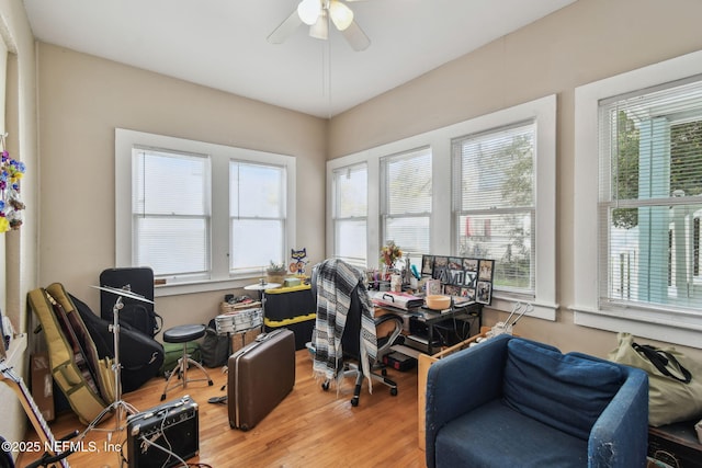 office space featuring plenty of natural light, ceiling fan, and wood finished floors