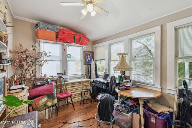 interior space featuring a ceiling fan, vaulted ceiling, and hardwood / wood-style floors