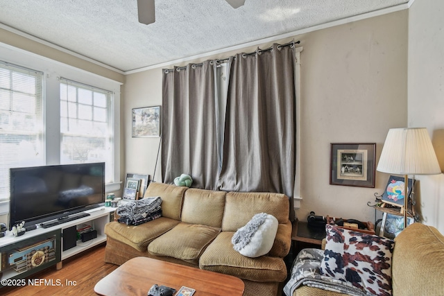 living room with a textured ceiling, a ceiling fan, and wood finished floors