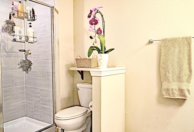 bathroom featuring a shower stall and toilet