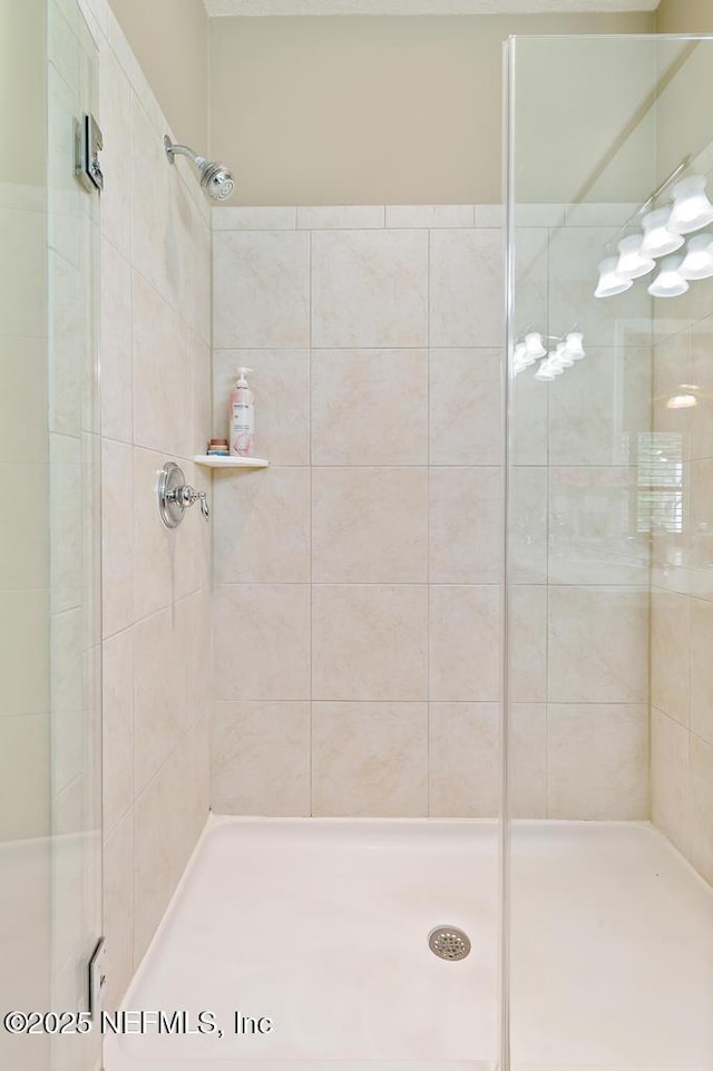 full bathroom featuring a shower stall