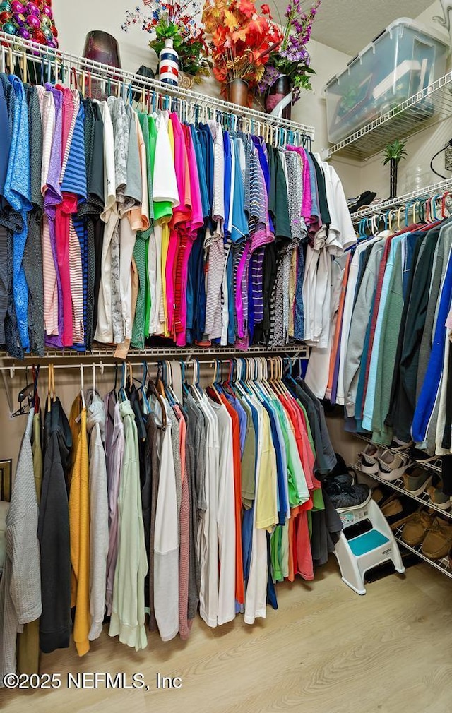 spacious closet with wood finished floors