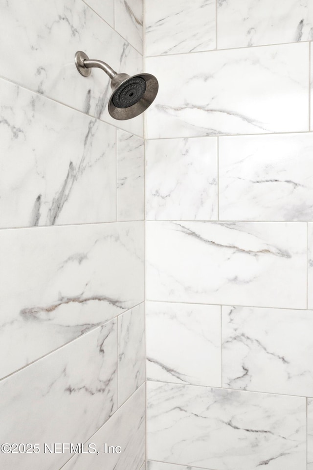 1308 1st St S, Jacksonville Beach, FL 32250 - details featuring tiled shower