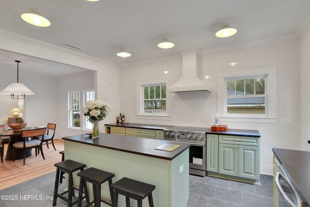 kitchen featuring plenty of natural light, appliances with stainless steel finishes, dark countertops, and custom exhaust hood