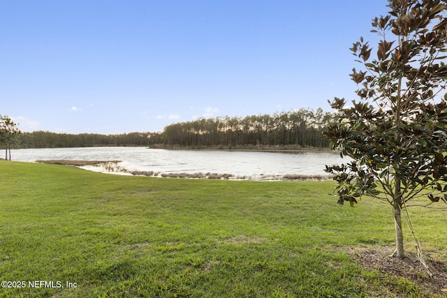 view of water feature featuring a view of trees