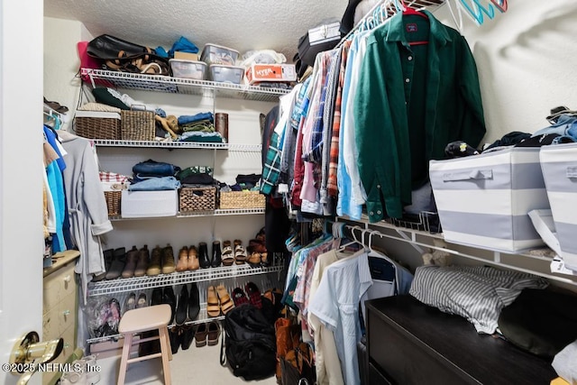 view of spacious closet