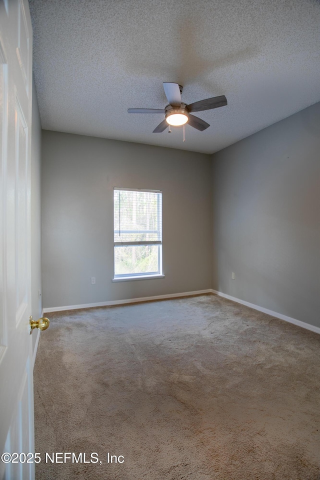 2293 Nettlebrook St N, Jacksonville, FL 32218 - photo 22