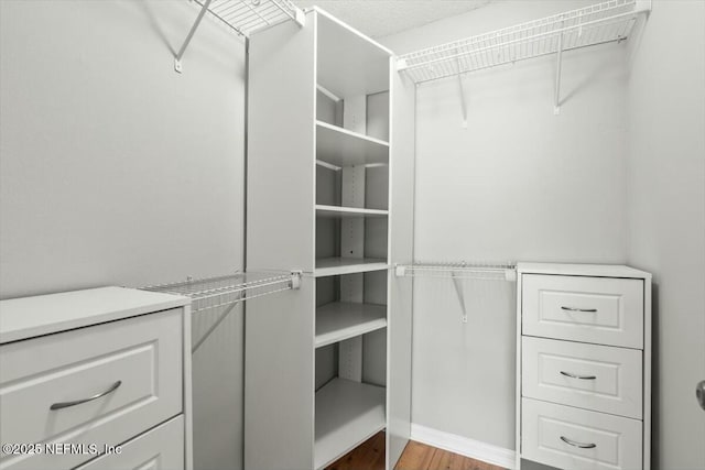 spacious closet featuring wood finished floors