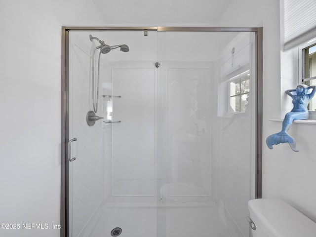 bathroom with a stall shower and toilet