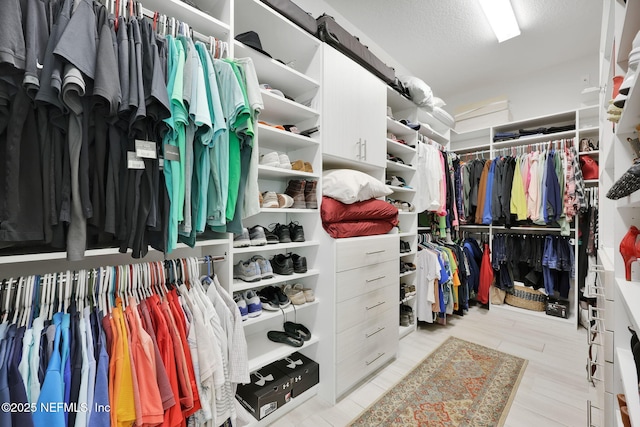 view of walk in closet