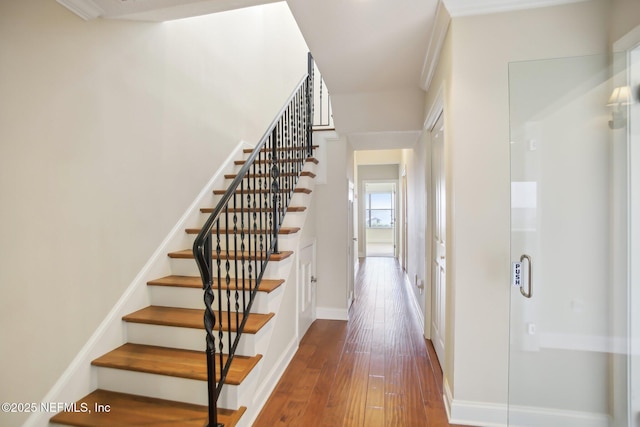 stairway with wood finished floors