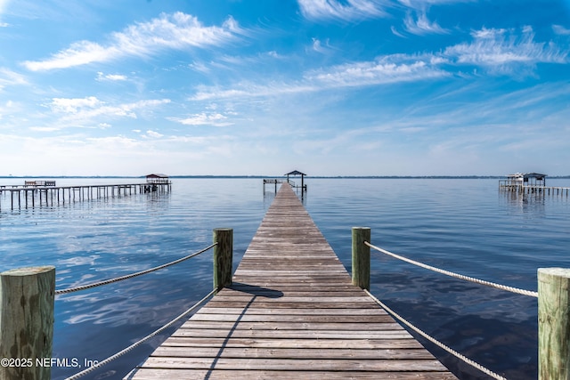 dock area with a water view