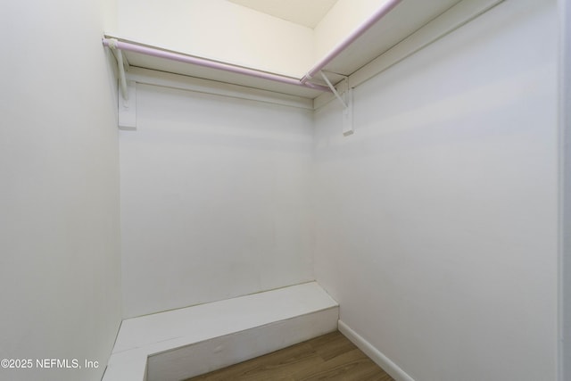 spacious closet featuring wood finished floors